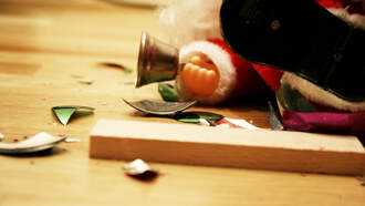 Are We At Risk of A Holiday Terror Attack? 