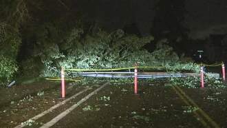 Windstorm Knocks Out Power To Over 230,000