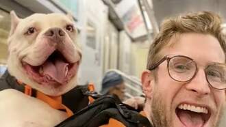 Stacey & Mike's Happy News: He Carries Dogs On Back To Help Adoptions