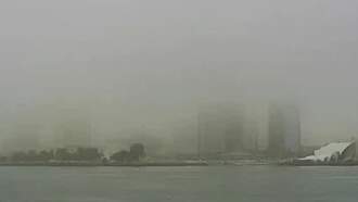 What Is All This Fog About in San Diego?