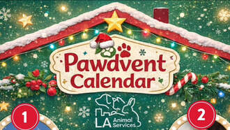 Adopt A Pet From The LA Animal Services Pawdvent Calendar