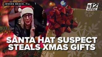 Grinch Steals Toys Donated For Children From Martin County Restaurant