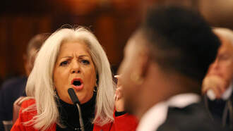 Did Outspoken Councilwoman Paladino Apologize, or Say "Sorry, Not Sorry"?