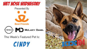 Meet Cindy — or as we call her, Cindy Lou Who