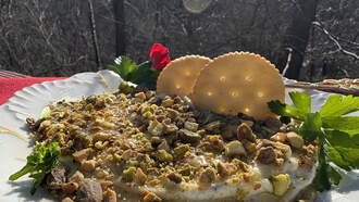 Rita's Appetizer for Christmas Guests