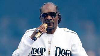 Music News - Netflix Will Debut Snoop Dogg's ‘Holiday Halftime Show’ On Christmas Day