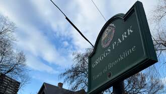 Brookline Residents Petition To Keep Griggs Park Open During Renovations