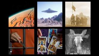 This Week's Weird News 12/19/25