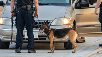 CBP Reports 62% Increase In Drug Seizures In FY2026