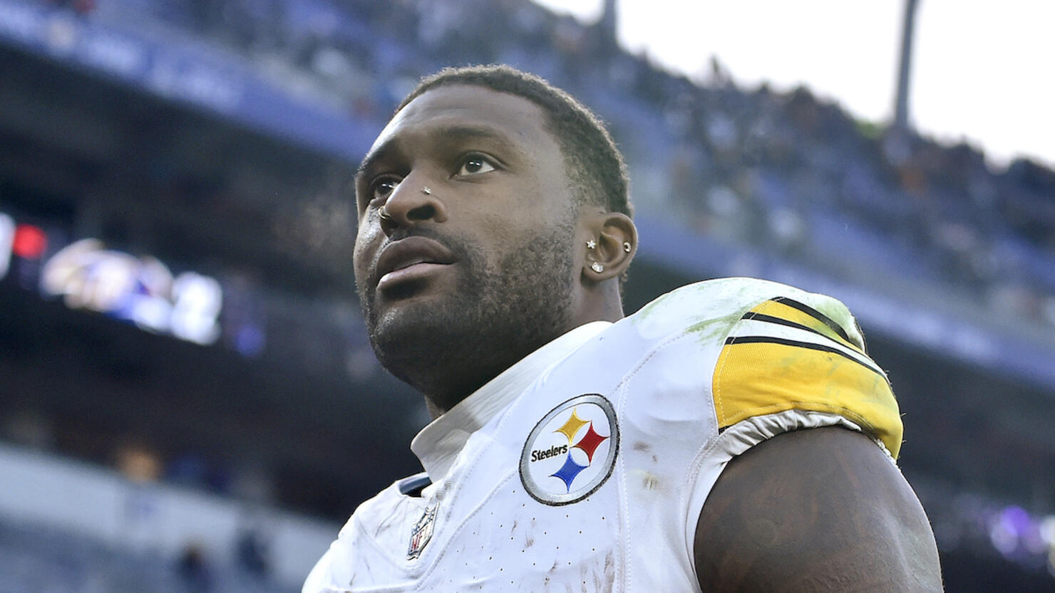 NFL: DEC 07 Steelers at Ravens