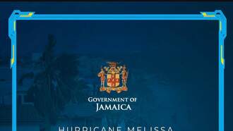 Watch Here  Jamaica's Road to Recovery Post Hurricane Melissa  #4 DEC21