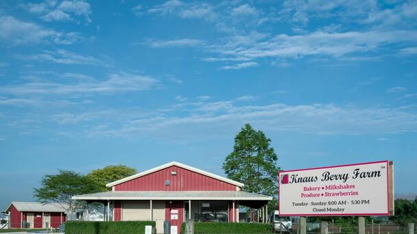 Knaus Berry Farm Is Open