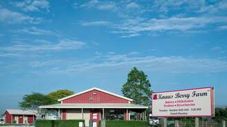 Knaus Berry Farm Is Open