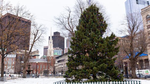 Parents Preparing Activities With The Kids For Christmas Break