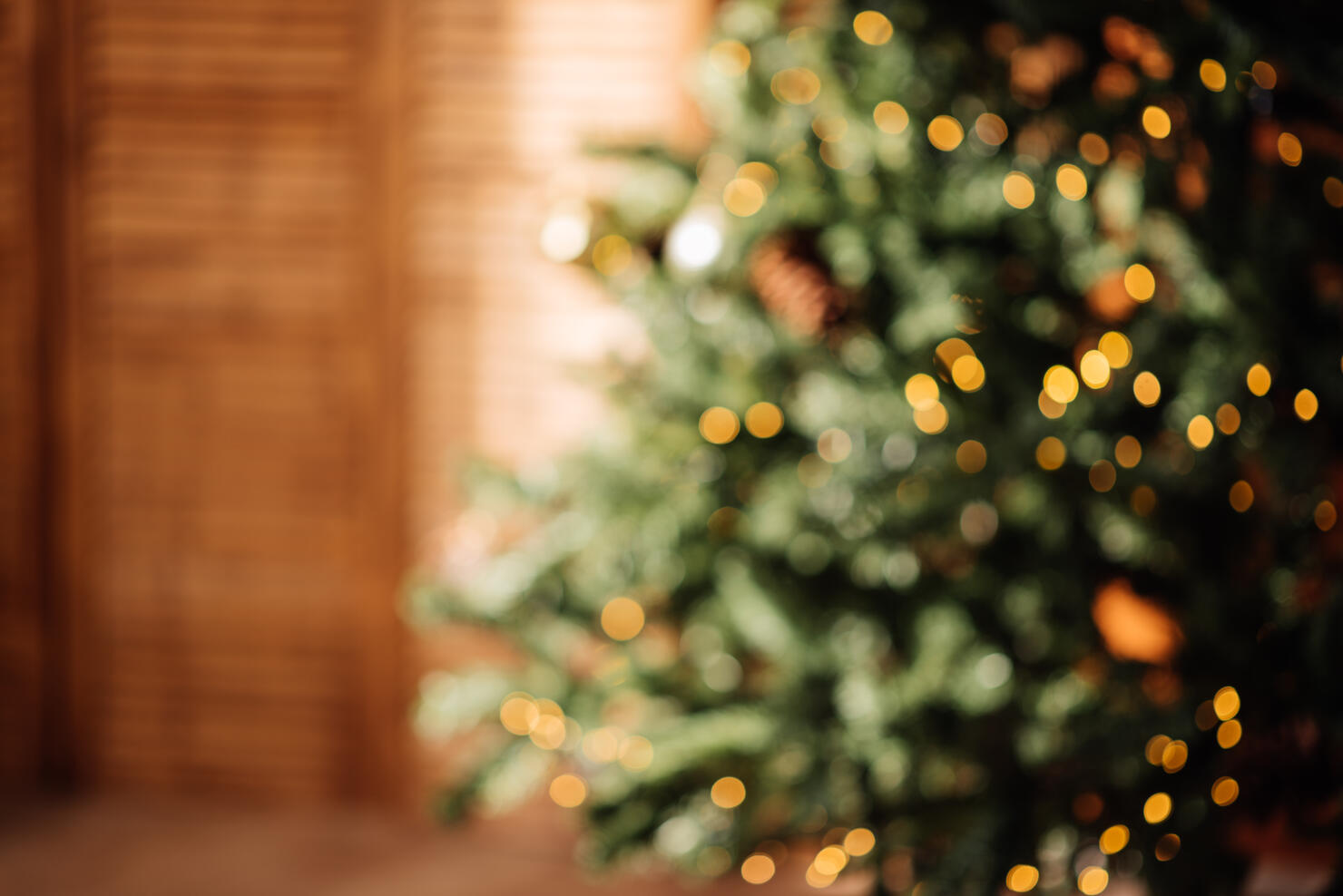 christmas background with christmas tree out of focus