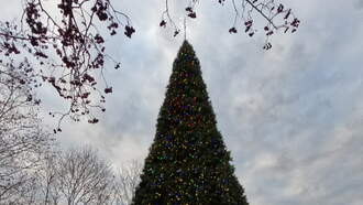 “Shine On” Holiday Lights and City Tree Finally Got Ribbon Cutting
