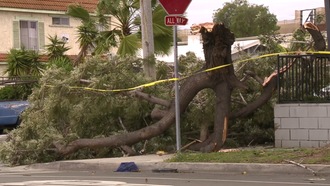 Second of Two Christmas Week Storms and More Rain