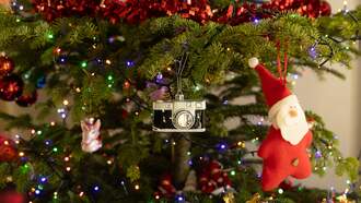 Did you get a REAL Christmas tree?  Here is how to recycle it!