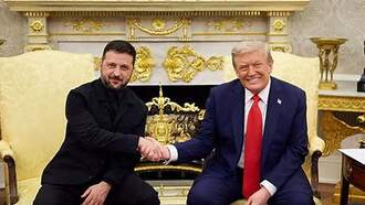 POTUS to Meet with Zelensky in Hopes to End War with Russia