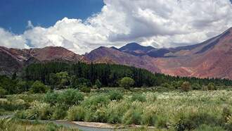 Flying Saucer Spotted in Photo from Argentina?