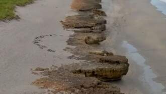 Canadian Tourist Drowns In Waters Off Jupiter Island