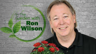 Plant of the Week - The Art of Kokedama 