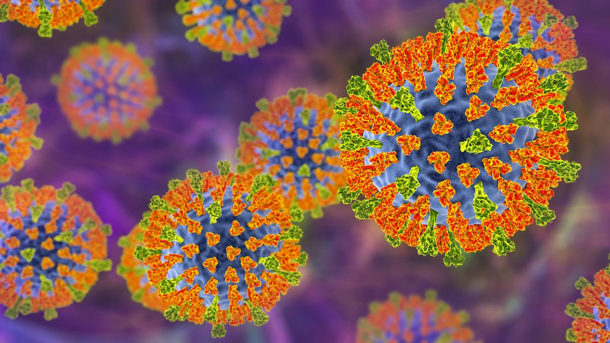 Measles virus, illustration