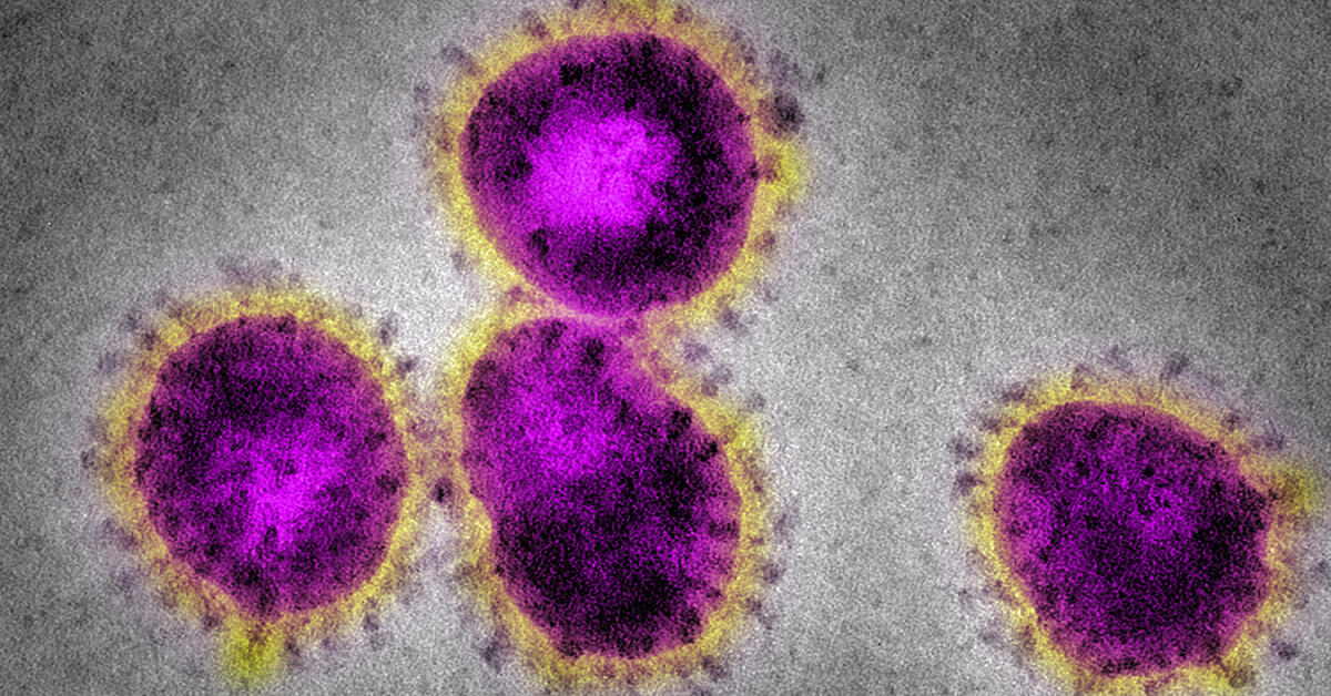 Here's All The Massachusetts Schools Closed Because Of Coronavirus - Thumbnail Image