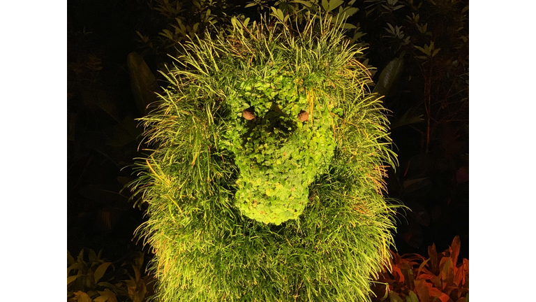 Walt Disney World Flower & Garden Festival