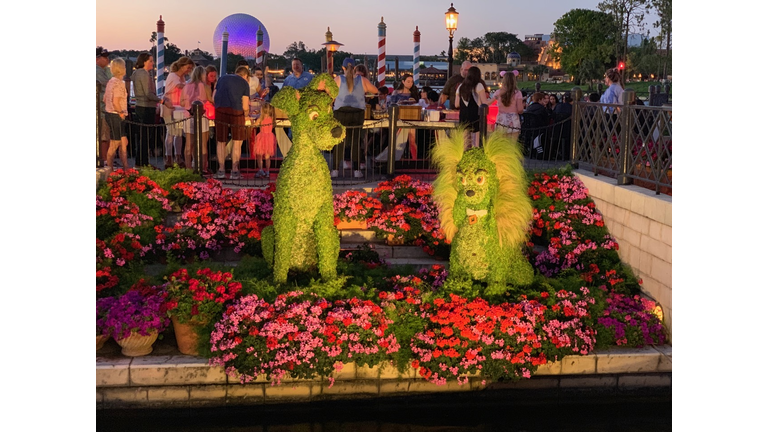 Walt Disney World Flower & Garden Festival