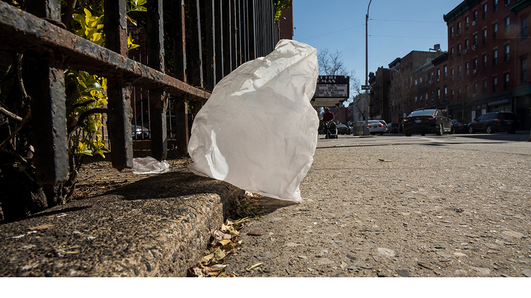 plastic bag ban