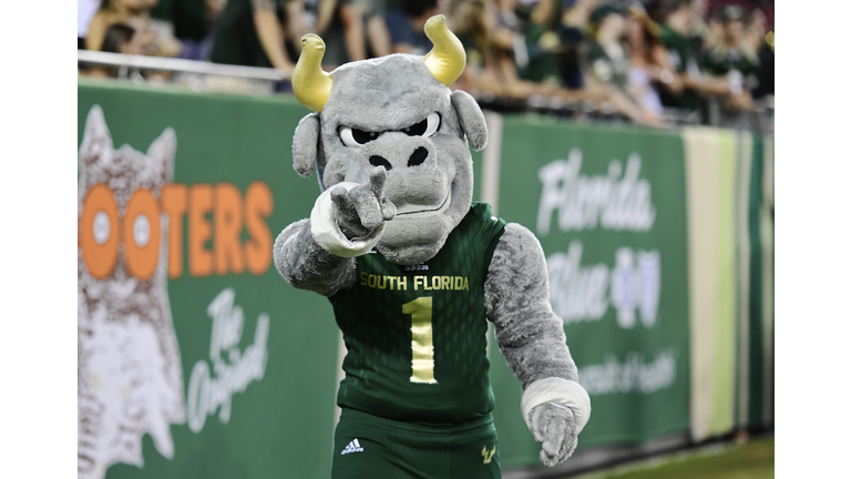 USF Football Rocky The Bull