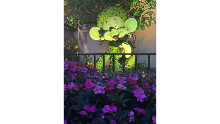 Walt Disney World Flower & Garden Festival