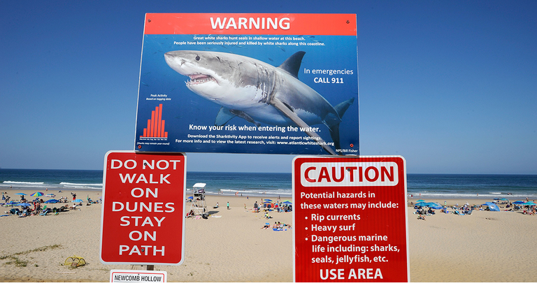 Shark warning in Cape Cod