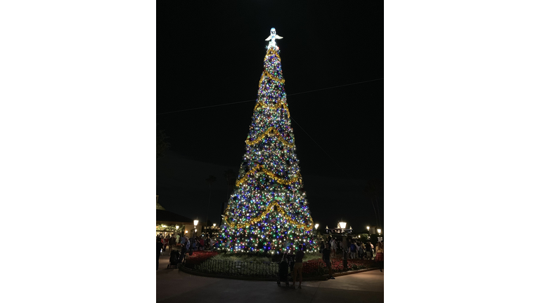 WDW The Gift of Magic Holiday Event