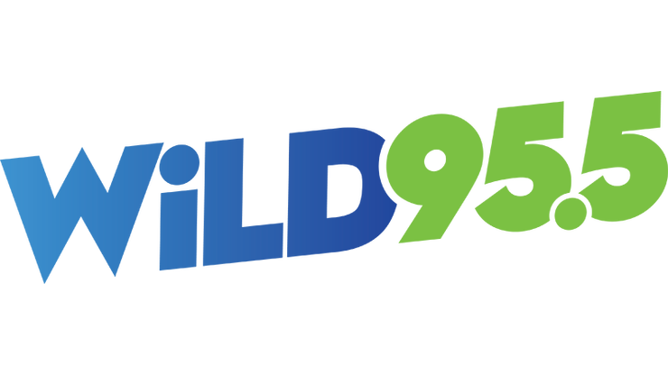 WiLD 95.5 Music - Recently Played Songs | WiLD 95.5