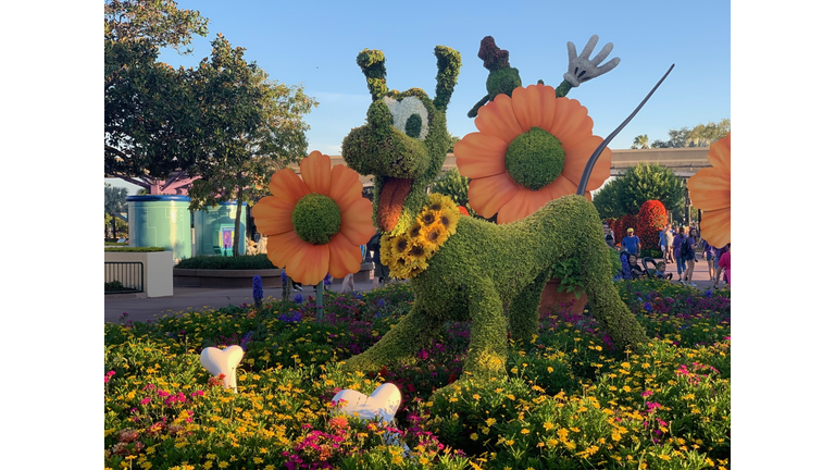 Walt Disney World Flower & Garden Festival