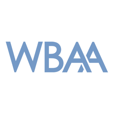101.3 WBAA logo