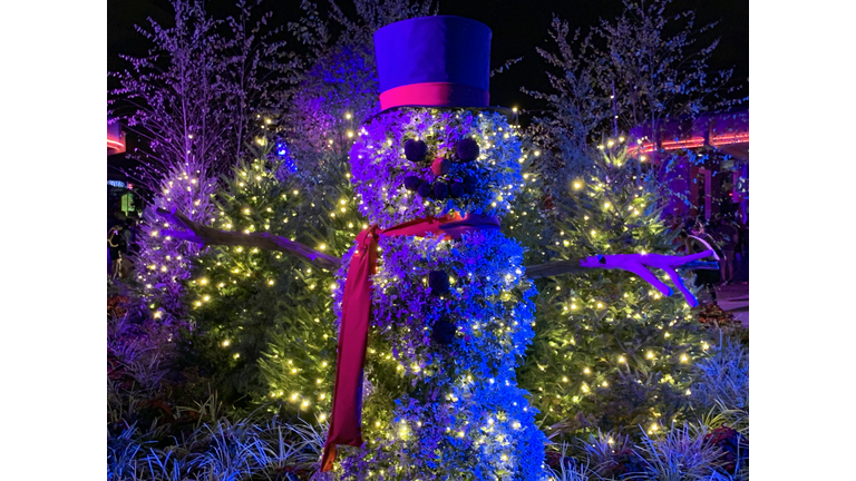 WDW The Gift of Magic Holiday Event