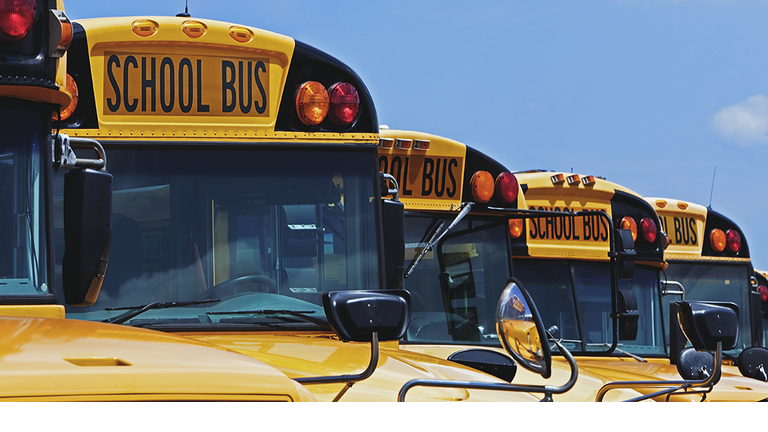 buses school bus generic