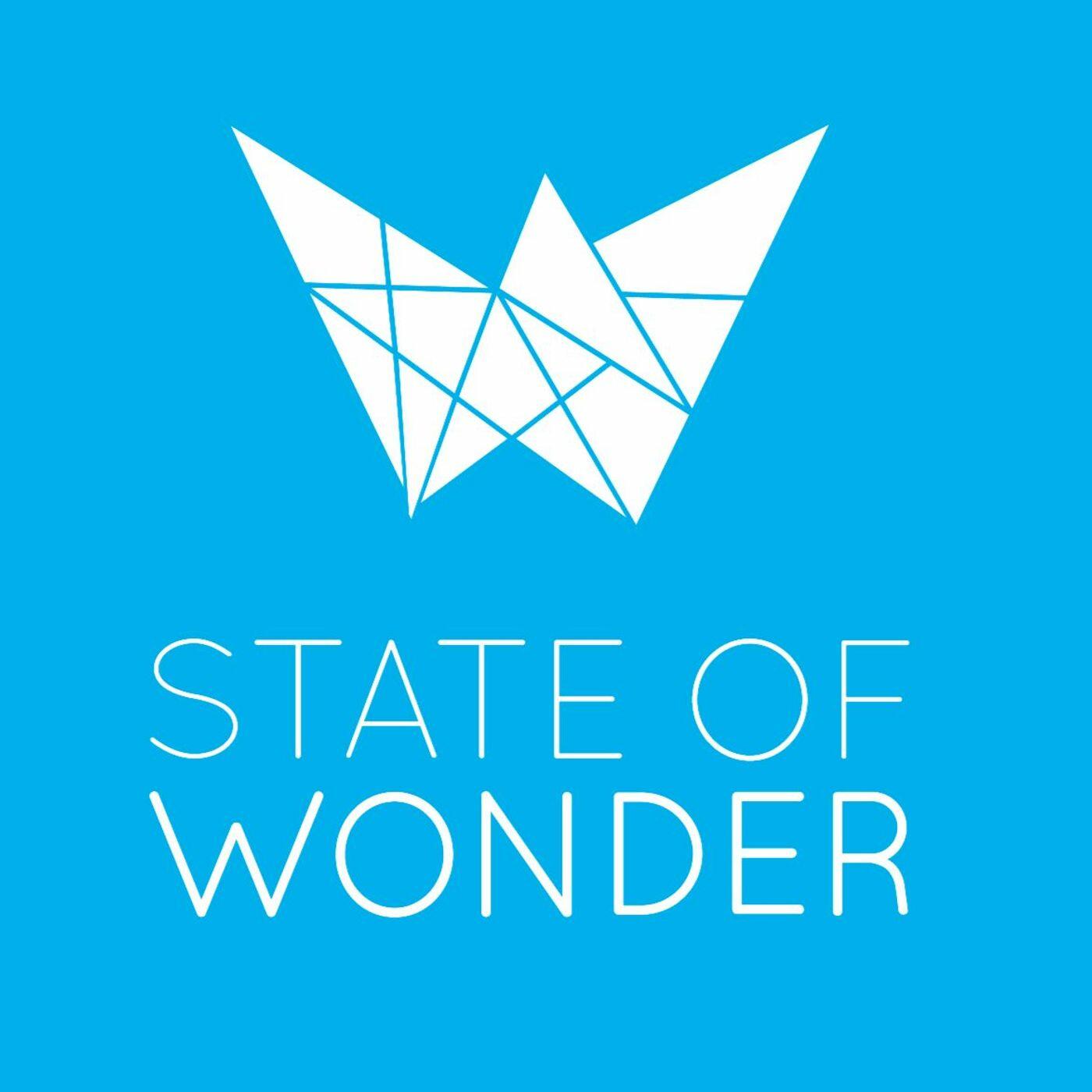 State of wonder ann patchett. энн пэтчетт. State of wonder. State of wonder. предчувствие чуда.