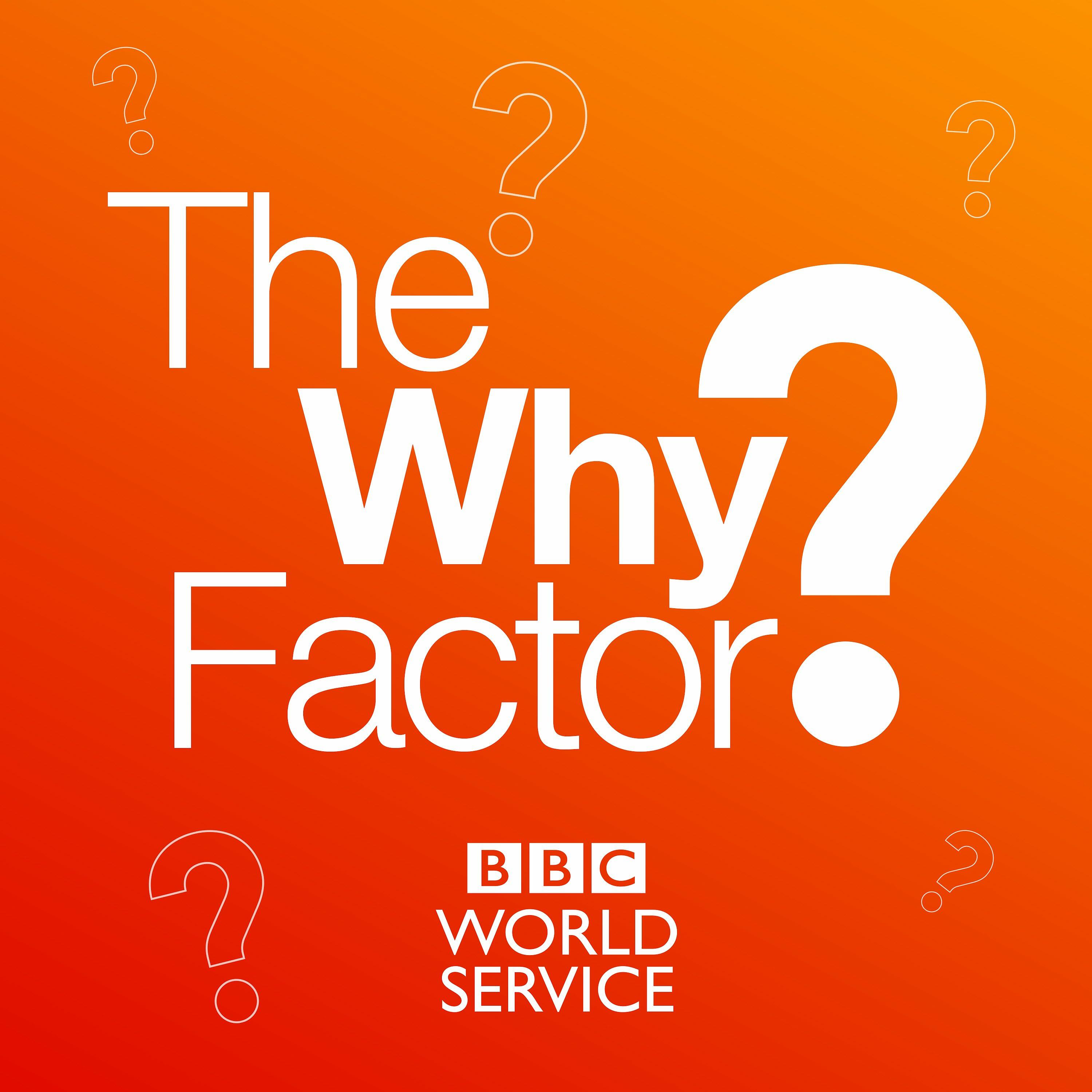 Why. Bbc the why Factor. Pa Factor.