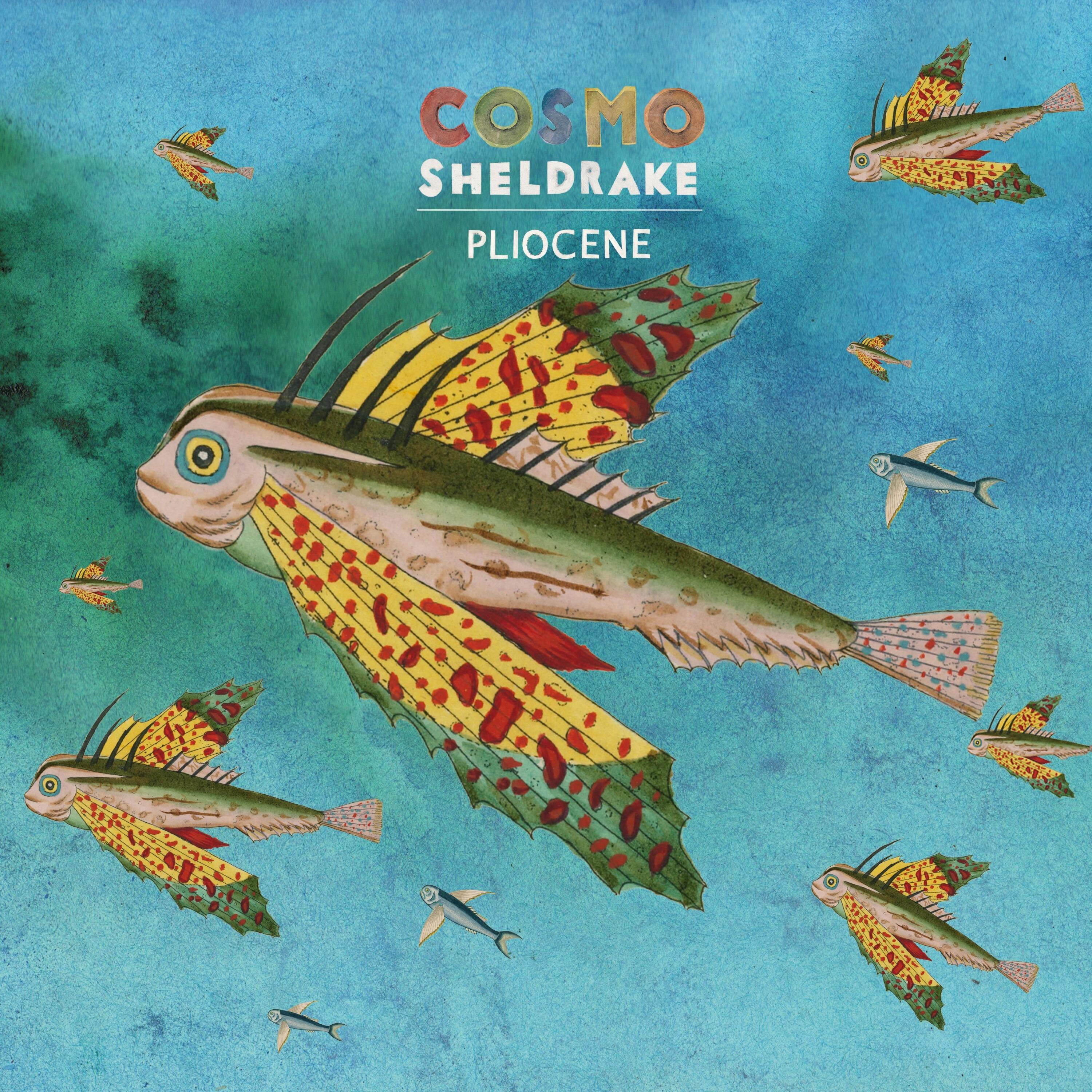 Stream Free Songs by Cosmo Sheldrake & Similar Artists iHeartRadio