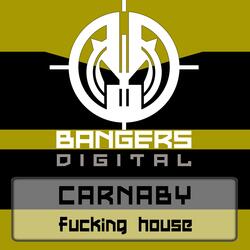 Fucking House
