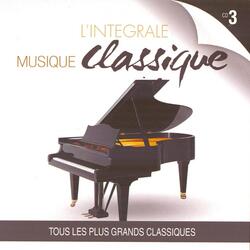 Danses slaves, op. 40: Danse n2, en mi mineur