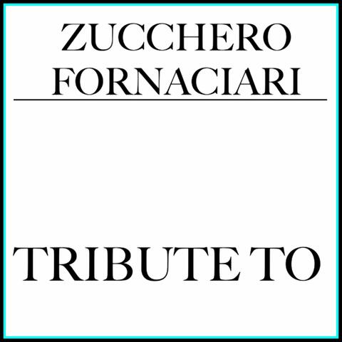 Tribute to Zucchero Fornaciari