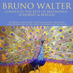 Symphony No. 8 in F Major, Op. 93: I. Adagio vivace e con brio