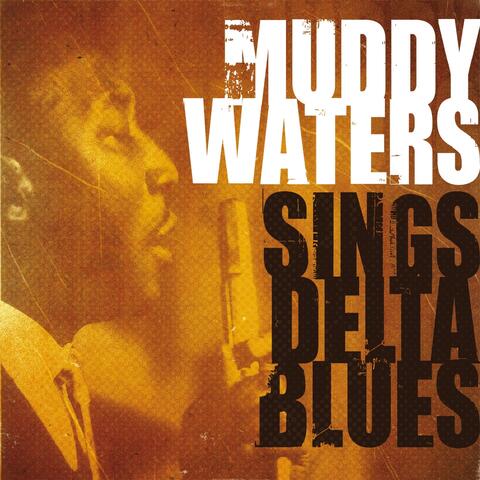 Muddy Waters, James Cotton