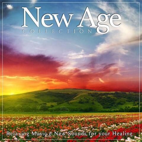 New Age Collection, Vol. 5