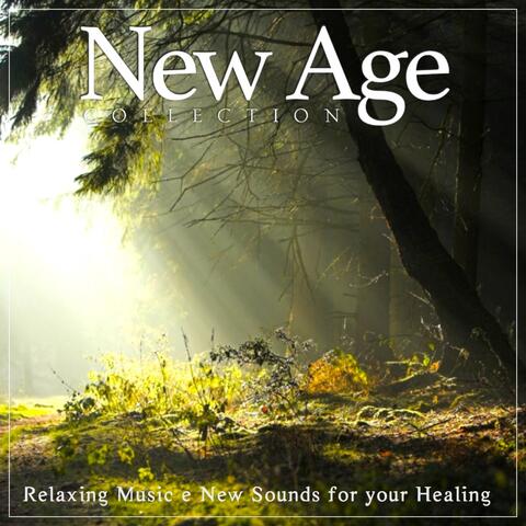 New Age Collection, Vol. 2